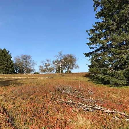 Apartamento Welcome + Terrasse