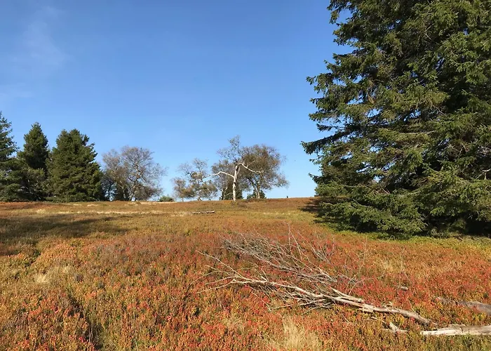 Appartamento Welcome + Terrasse